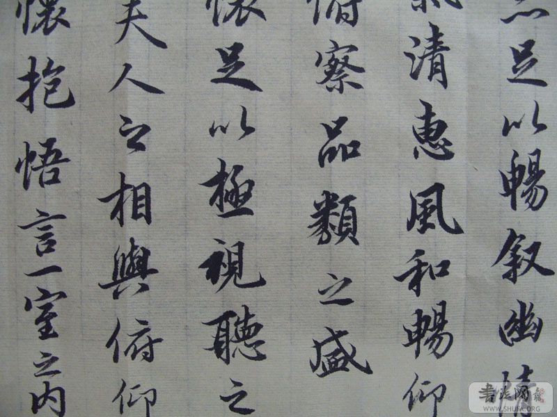 S1050282.JPG