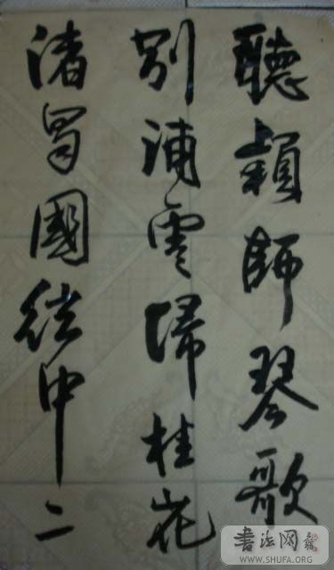 DSC01526.JPG