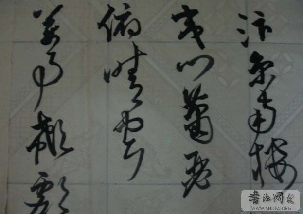 DSC01523.JPG