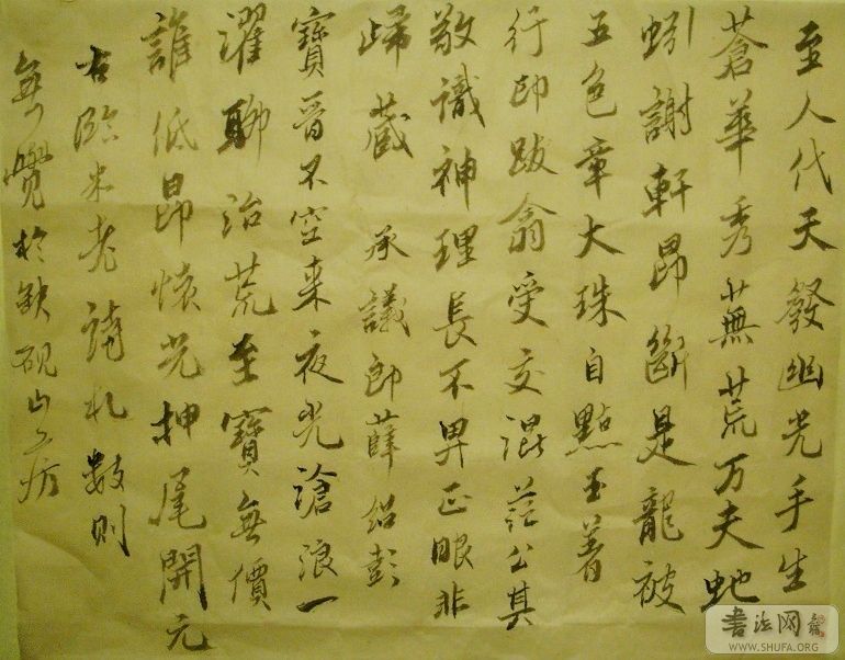 SNV11079.JPG