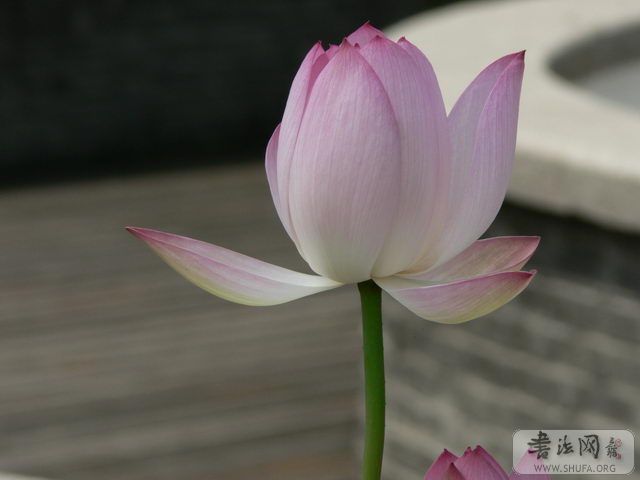 2006090319523943468.jpg