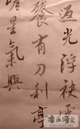 SNV11092.JPG