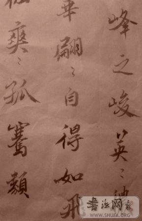 SNV11096.JPG
