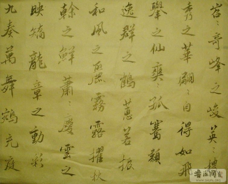 SNV11077.JPG