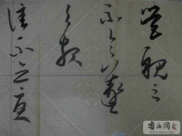 DSC01553.JPG