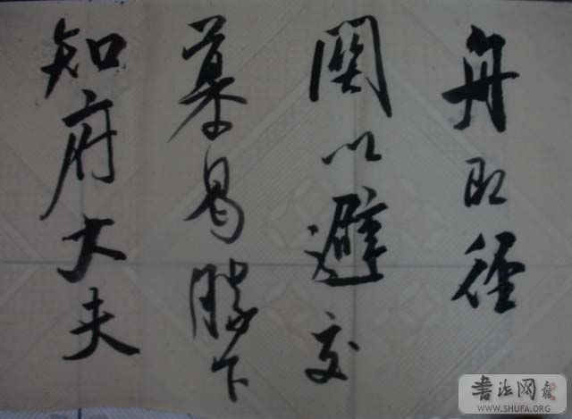 DSC01558.JPG