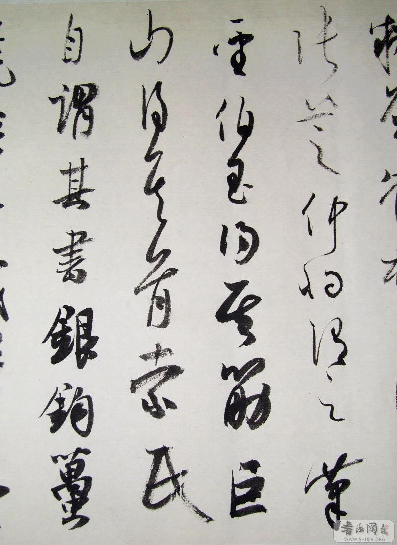 DSCF0204.jpg