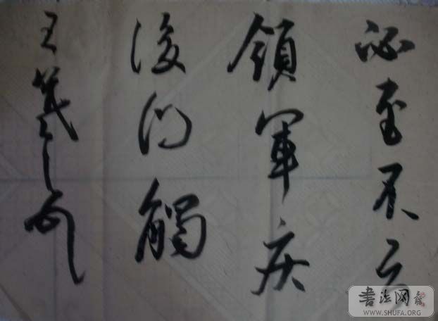 DSC01551.JPG