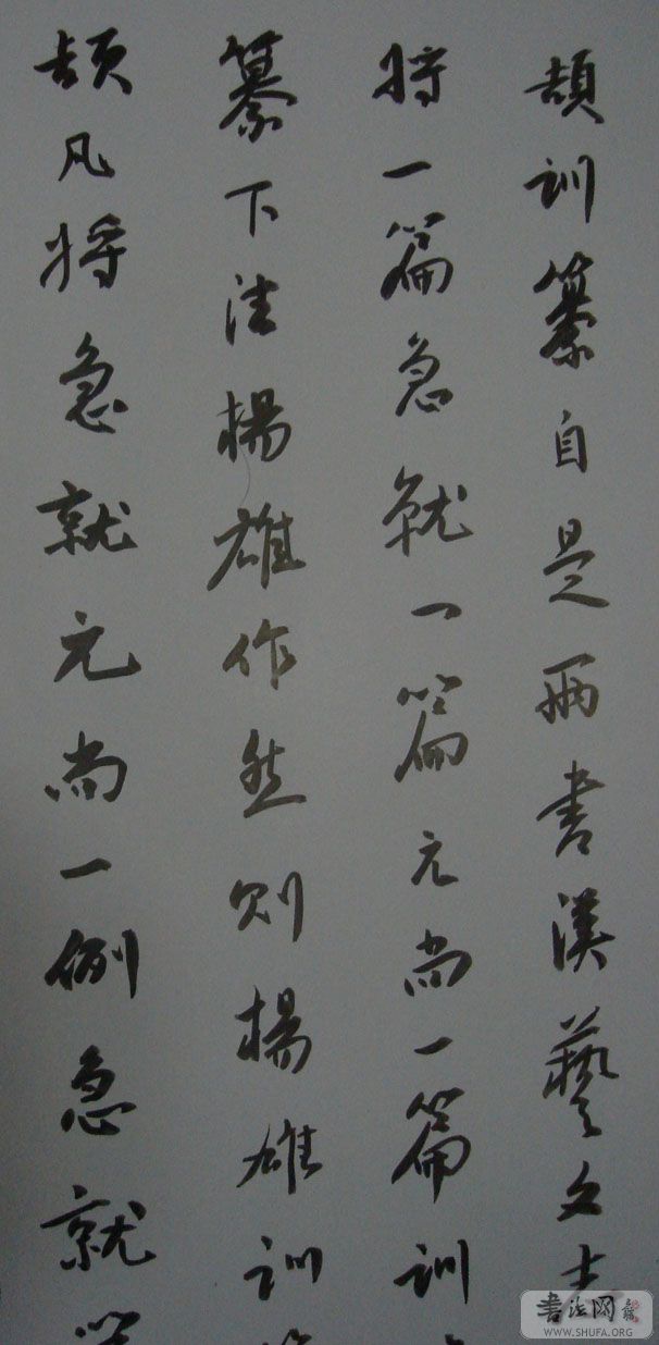 DSC02220.JPG