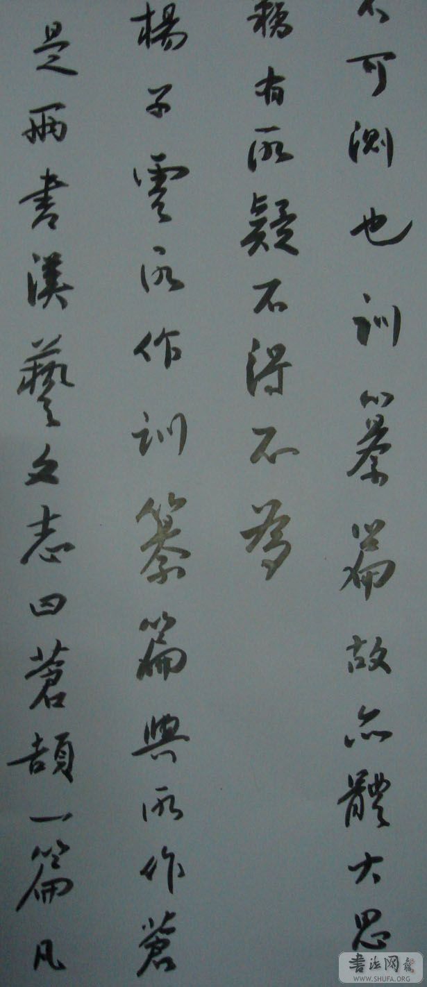 DSC02224.JPG