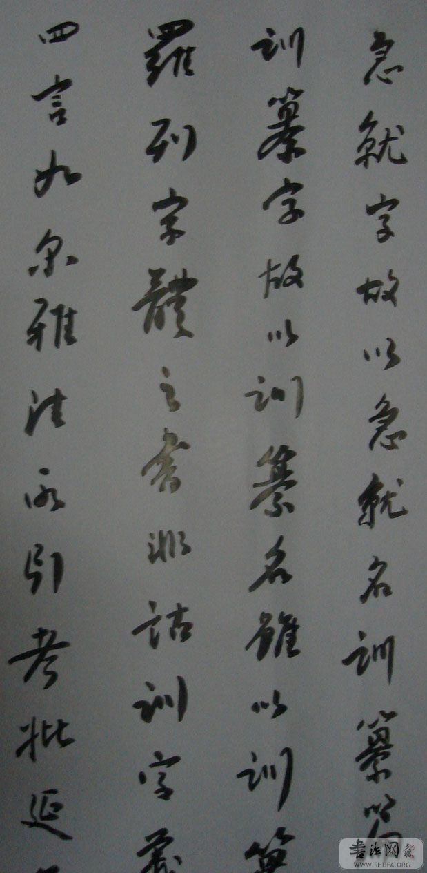 DSC02221.JPG