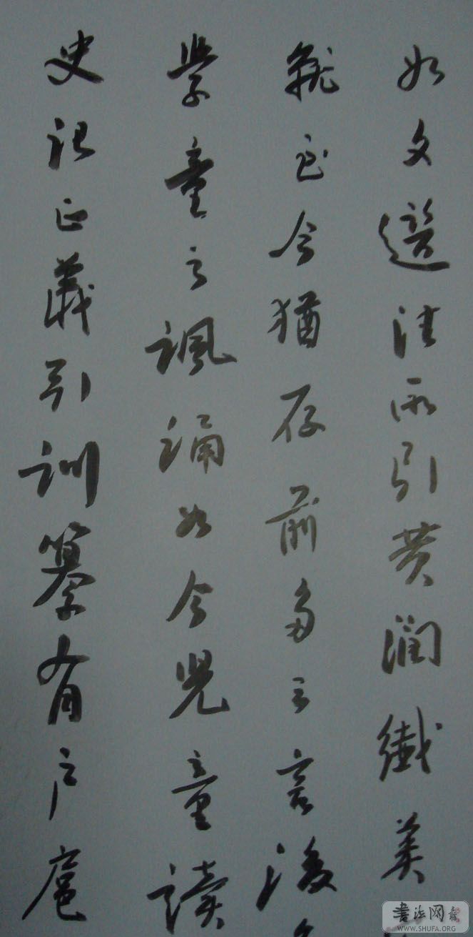 DSC02222.JPG