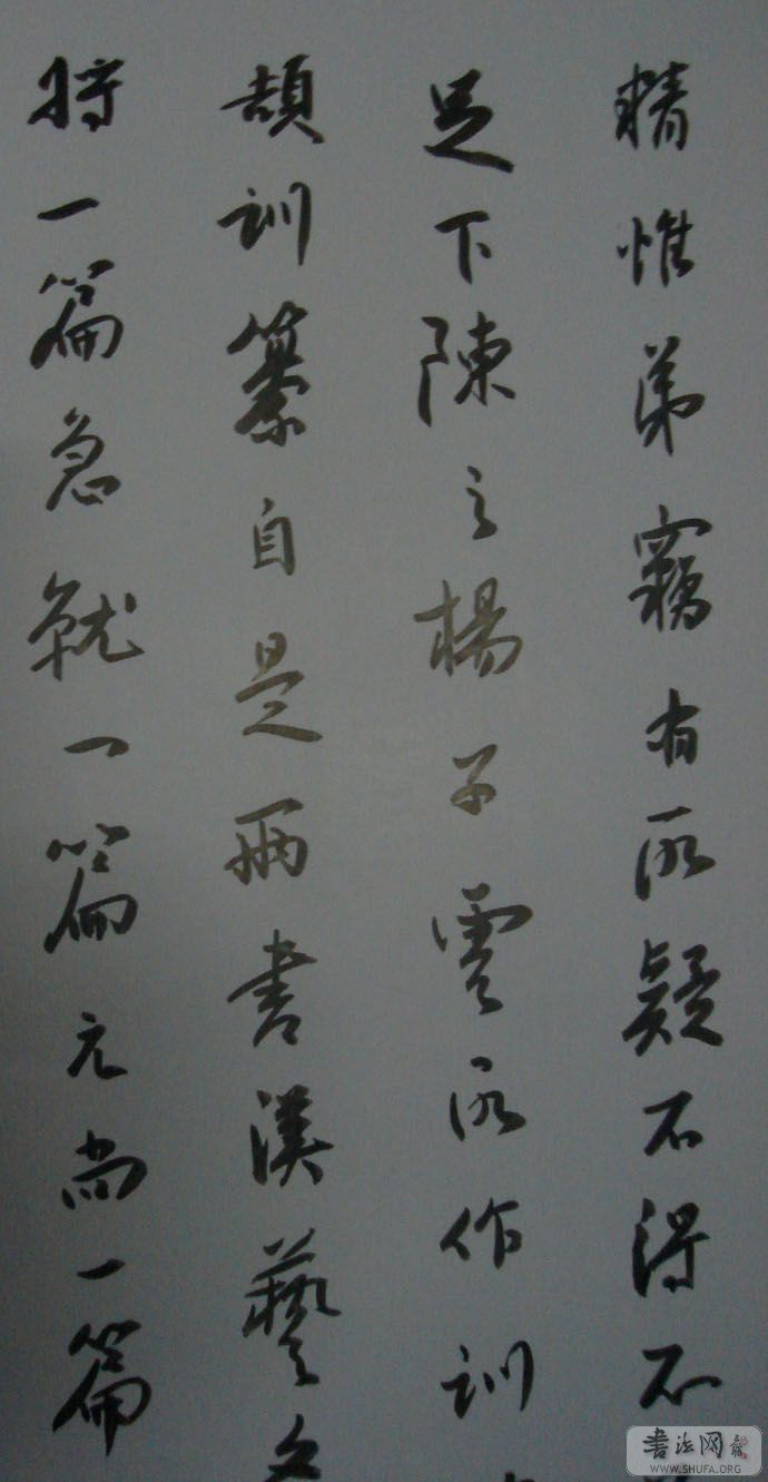 DSC02219.JPG
