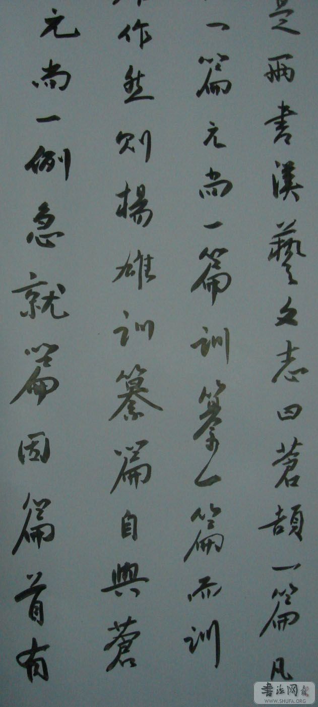 DSC02225.JPG