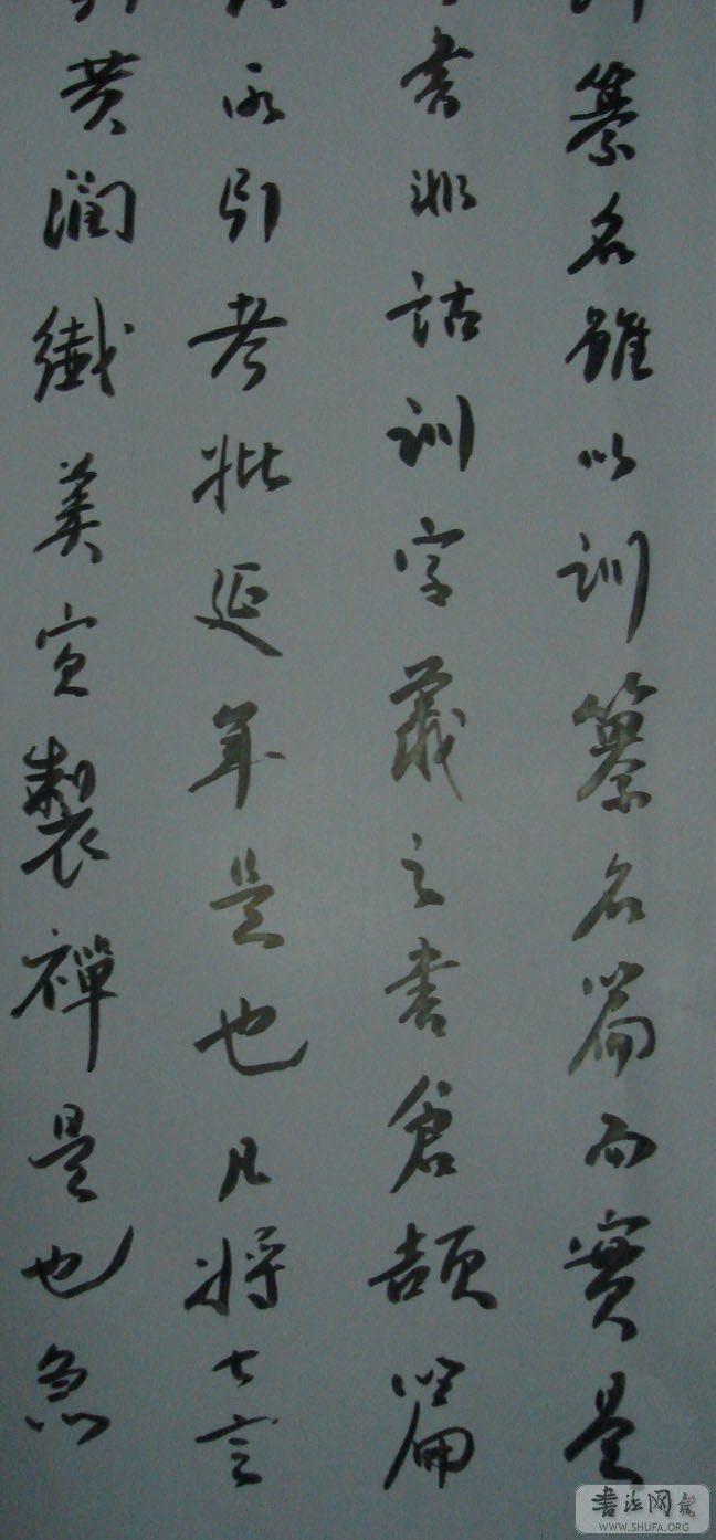 DSC02226.JPG