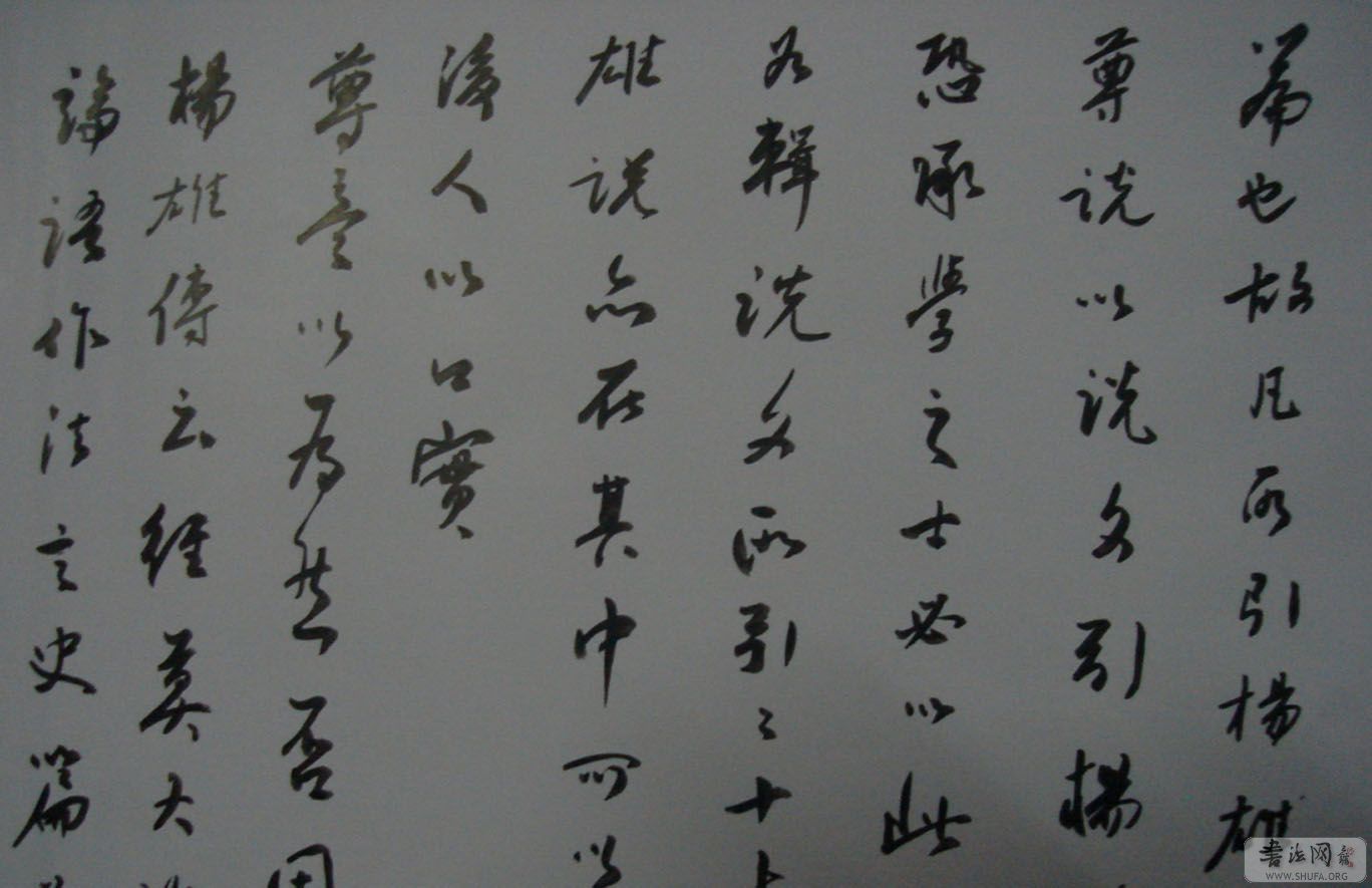 DSC02235.JPG
