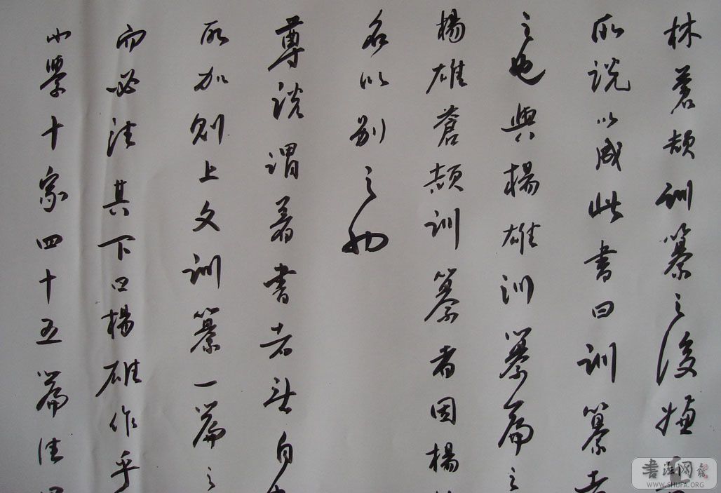 DSC02245.JPG