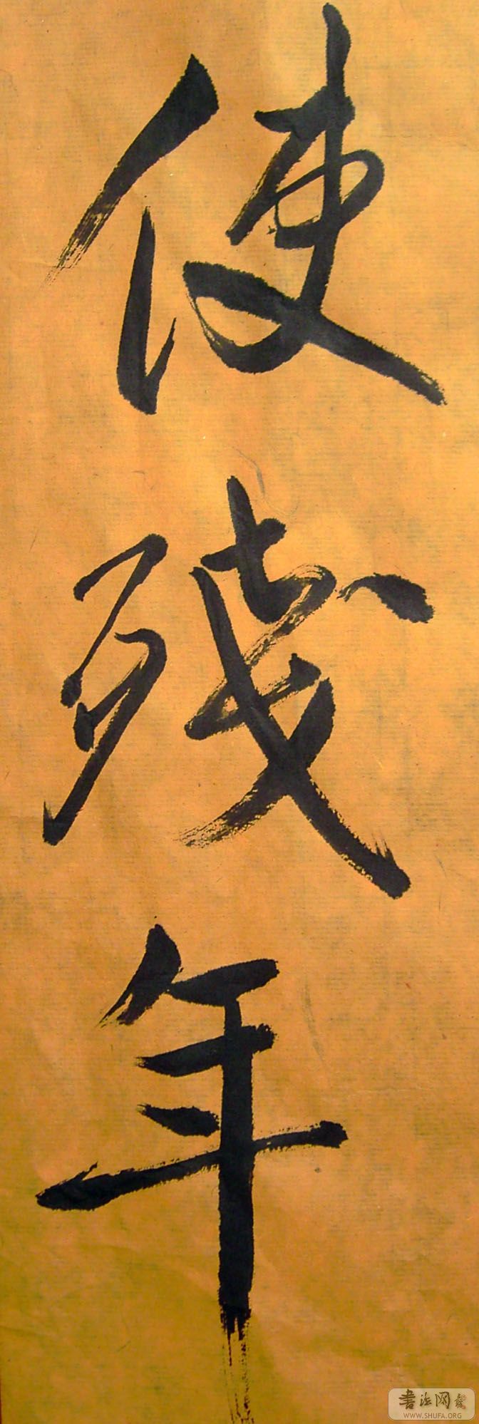 PICT5974.jpg
