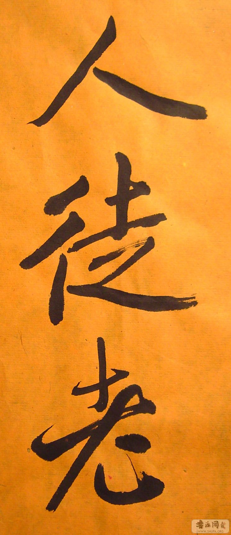 PICT5980.jpg