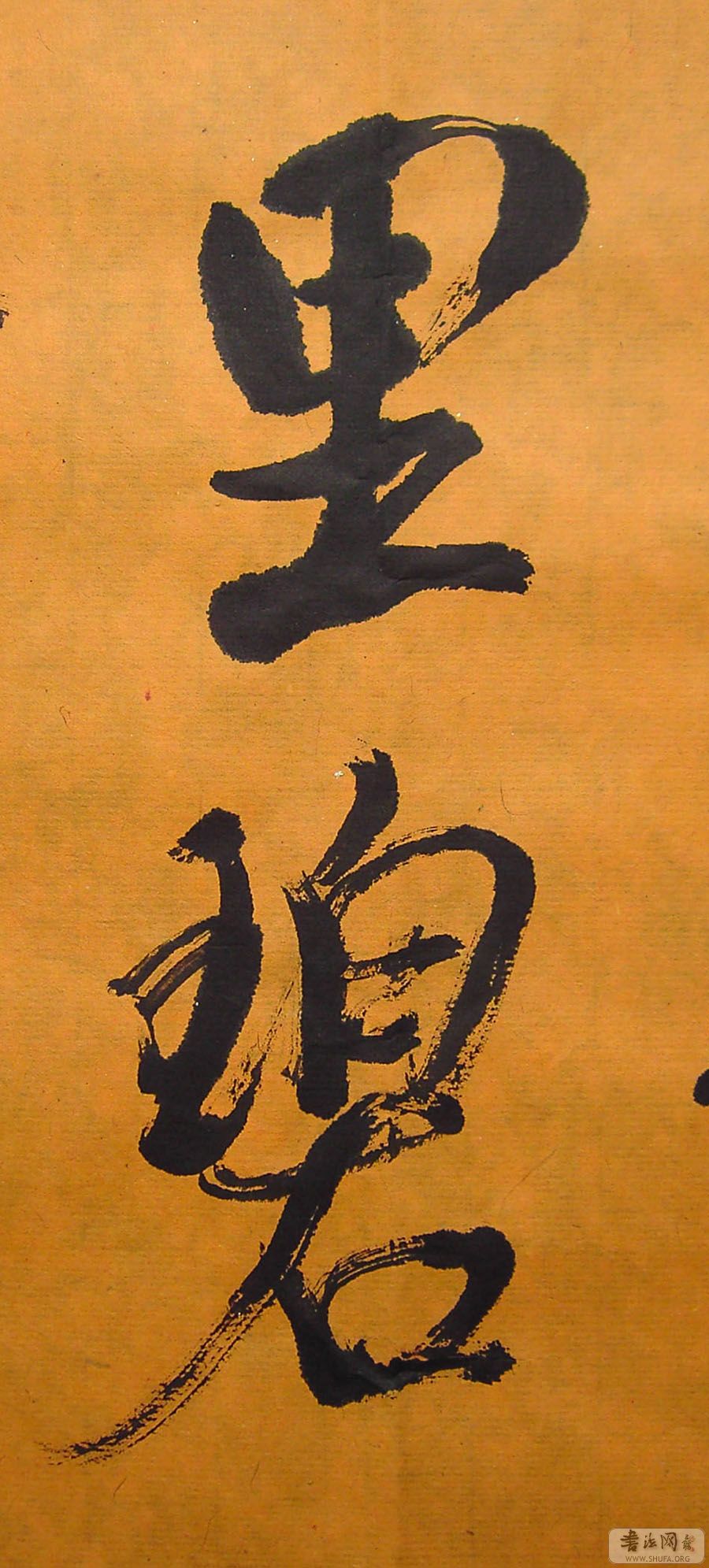 PICT5962.jpg