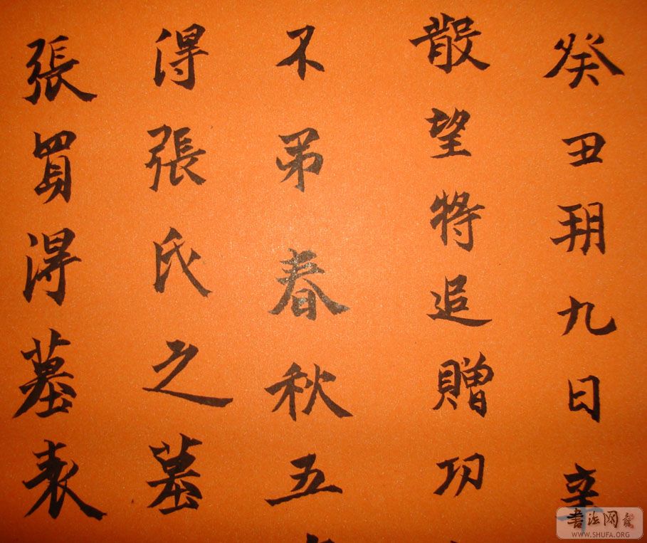 DSC02266.JPG