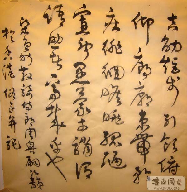 P1010126.jpg