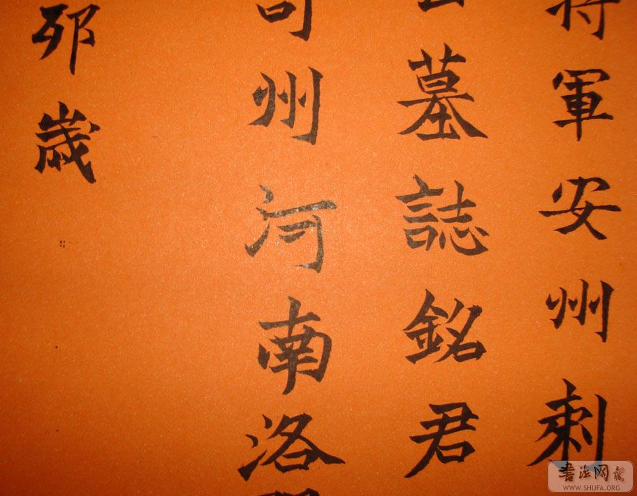 DSC02265.JPG
