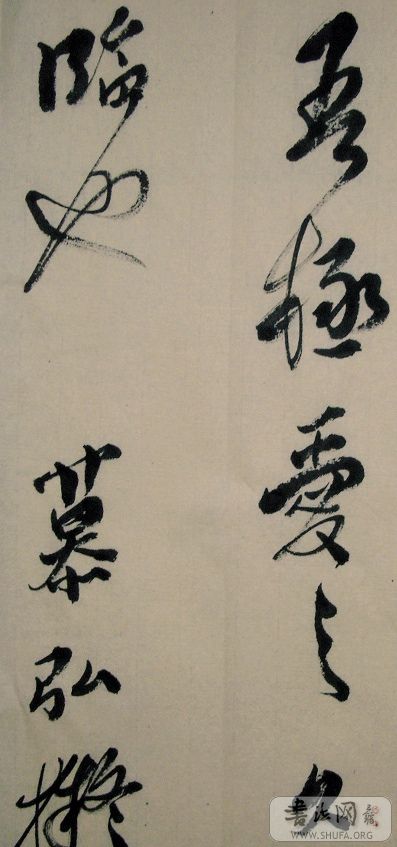 SNV11281.JPG