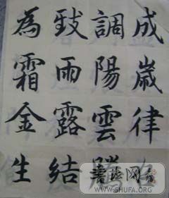 DSC00004.JPG