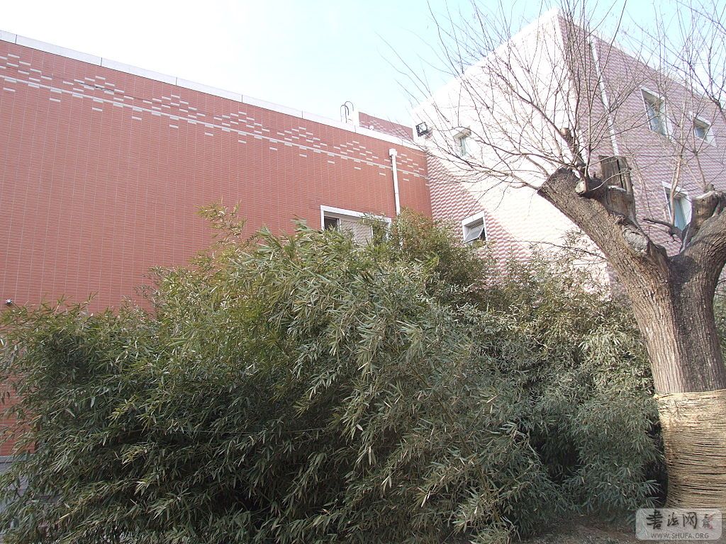 DSCF5399.JPG