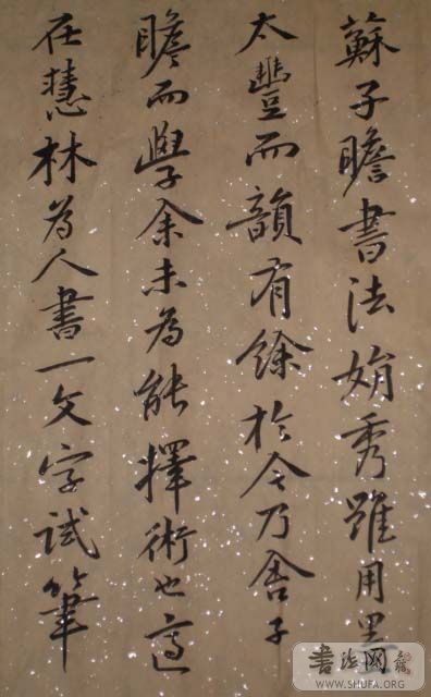 DSC01695.JPG