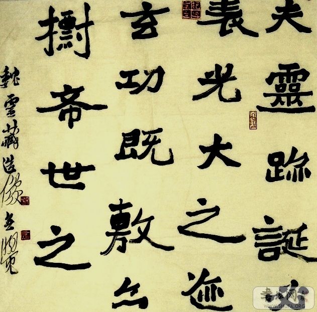SNV10048.JPG