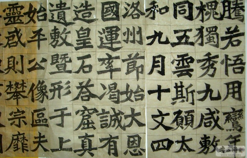 SL702673.JPG