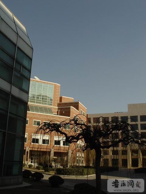 DSC00436.JPG