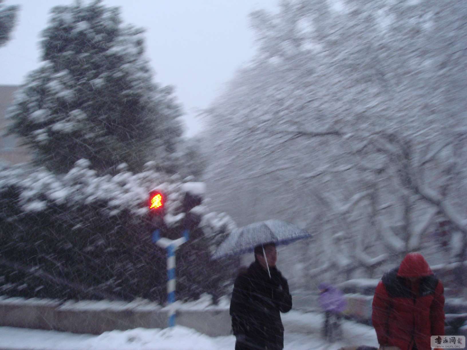 DSC04080.jpg