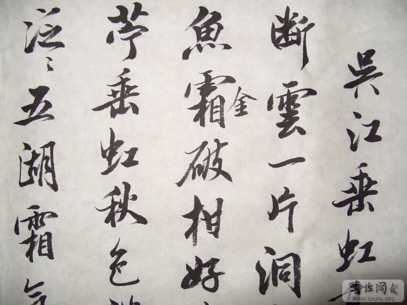 S1050416.jpg