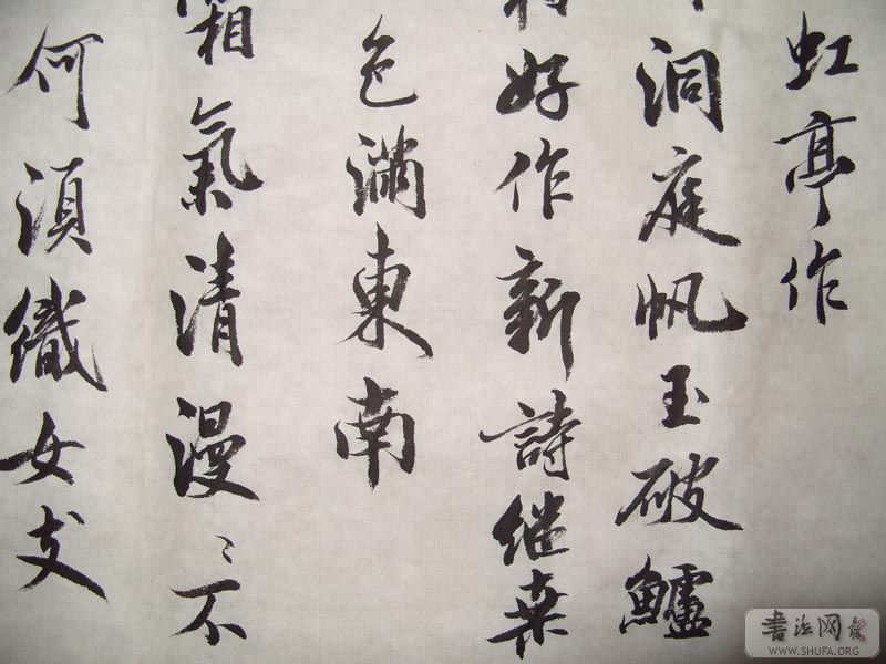 S1050417.jpg