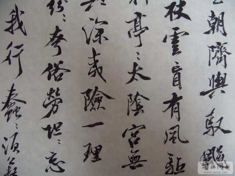 S1050480.jpg