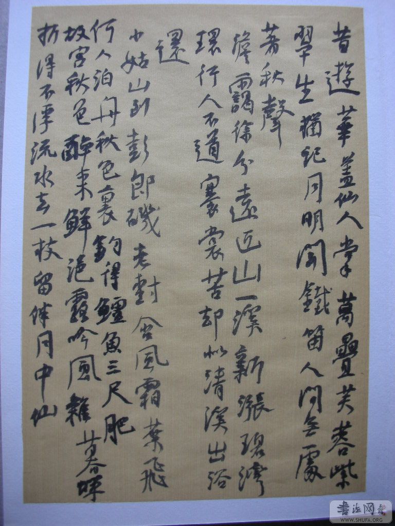 DSCN2273.JPG