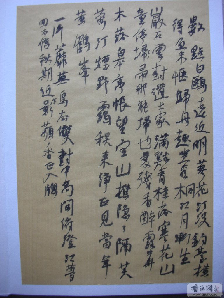 DSCN2274.JPG