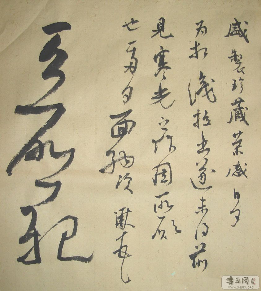 DSC02864.JPG