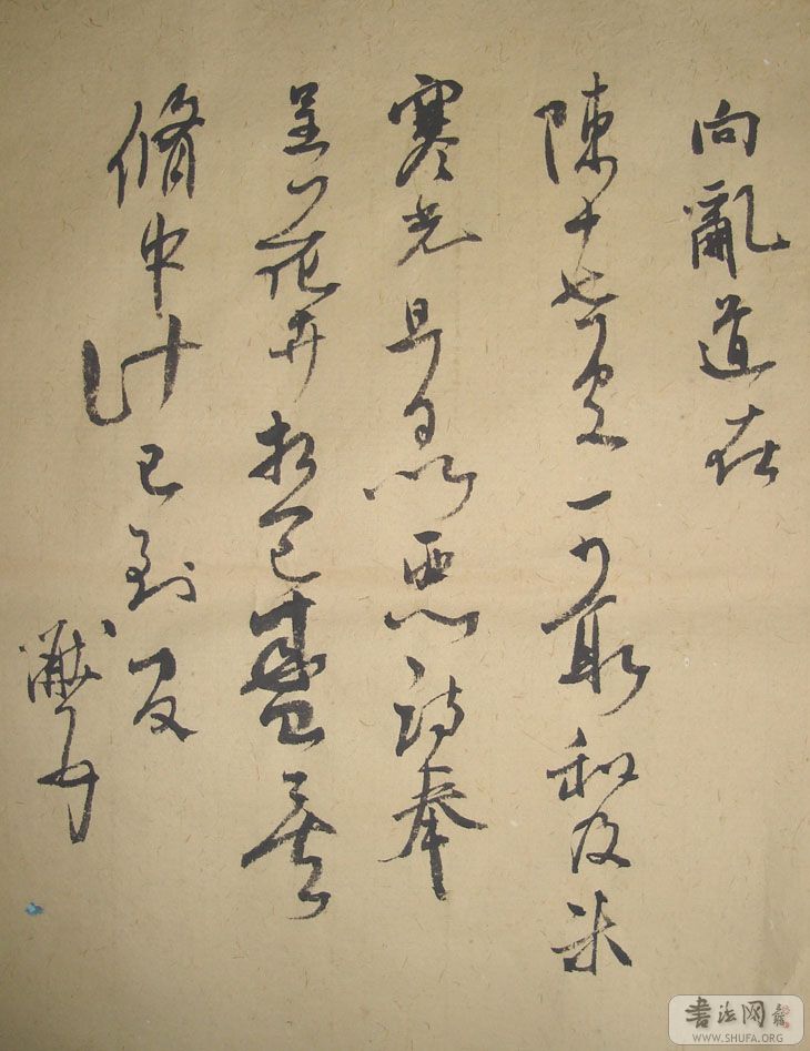 DSC02863.JPG