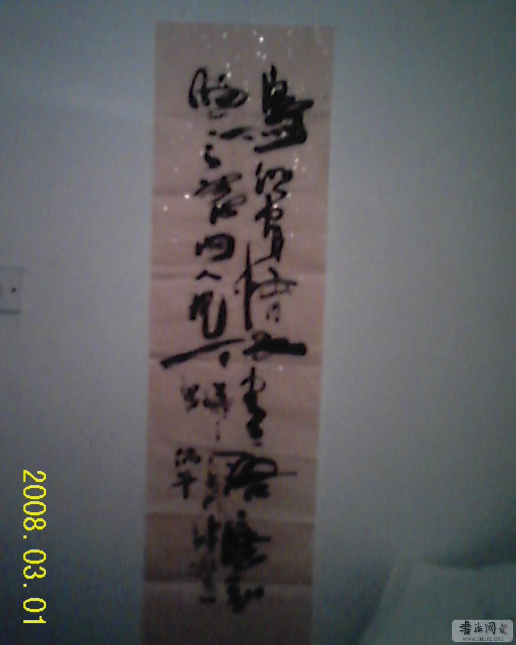 RECO0077.JPG