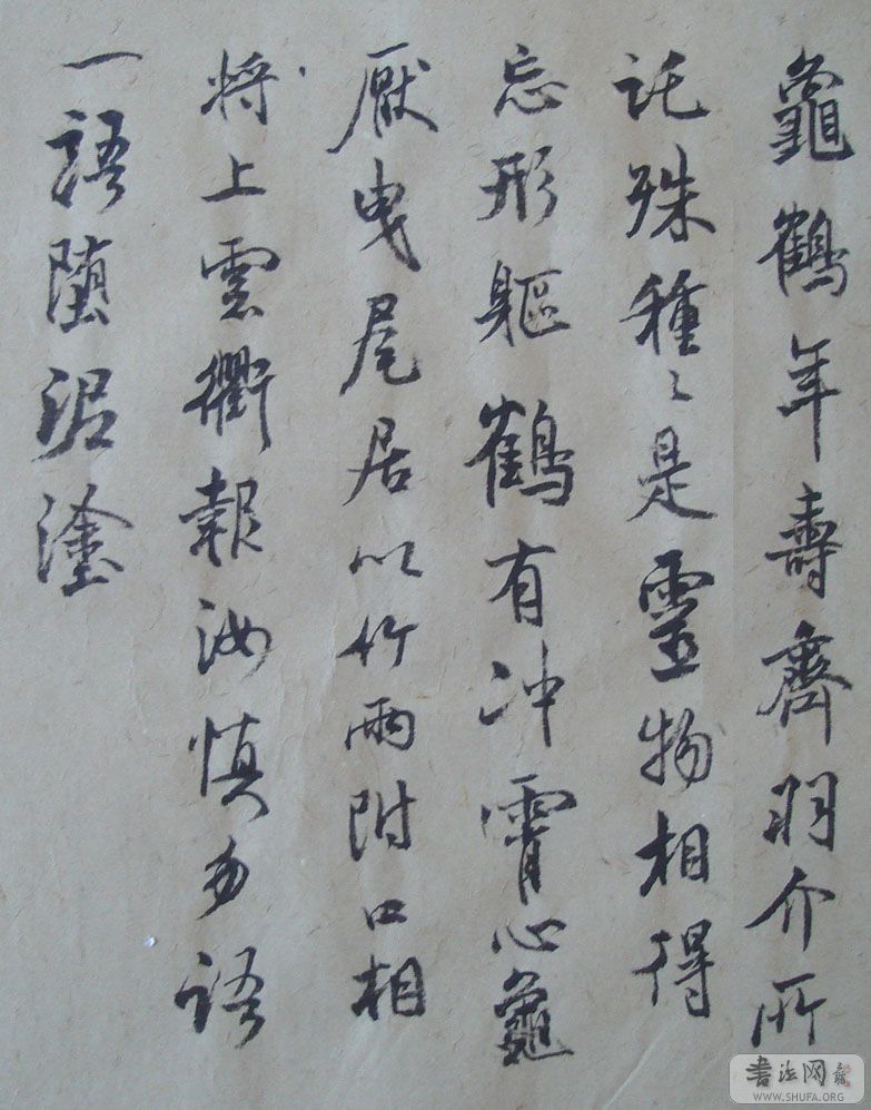 DSC02870.JPG