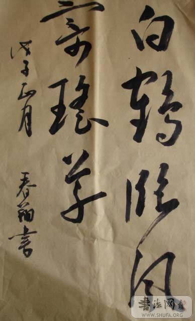 DSC02258.JPG