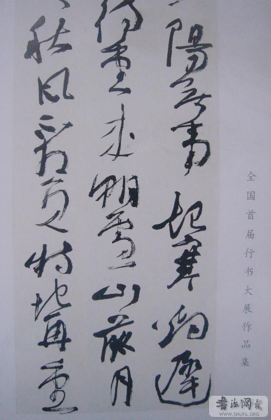DSC08875.JPG