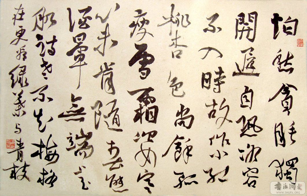 鶫ʫ