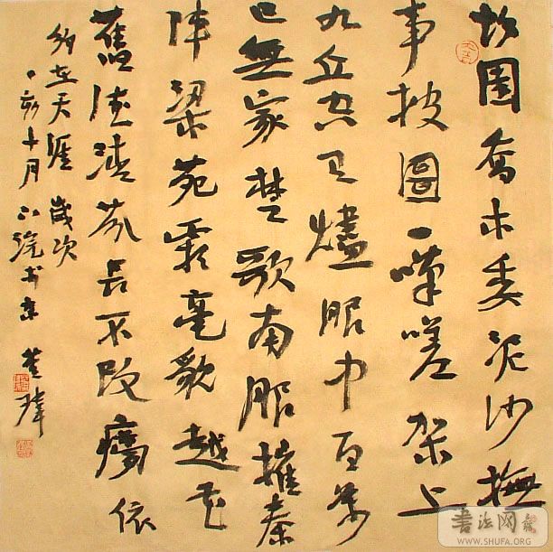 鶷5353cm.jpg