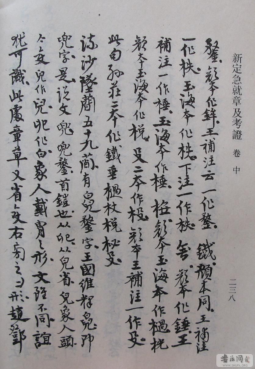 238.JPG