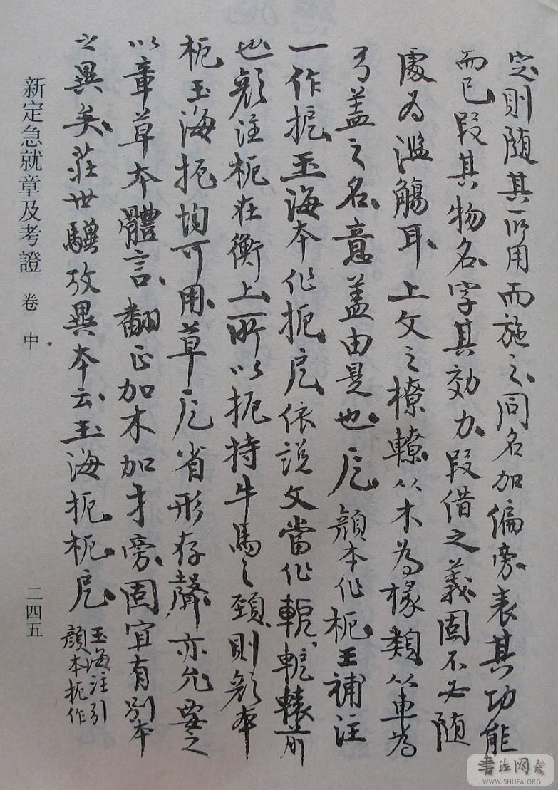 245.JPG